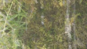 фильм Бессмертие режиссёр Олег Рудюк