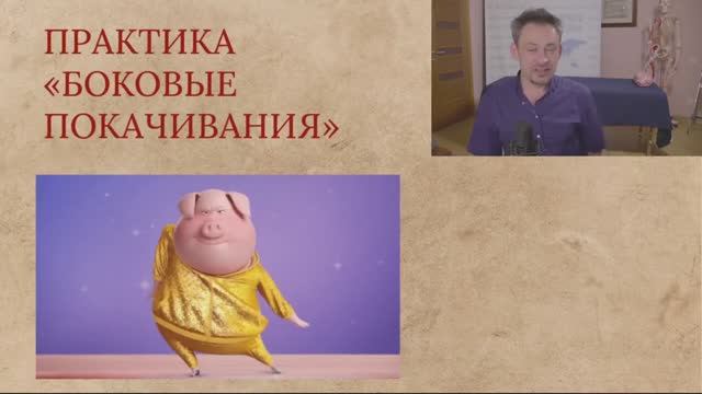 Оздоровительные Практики. Вебинар 12.10.2023
