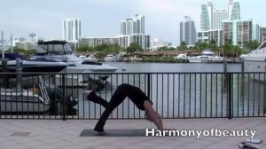 Омолаживающий комплекс (Yoga Vinyasa Flow)