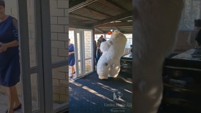 Доставка пушистой?❄️ радости маме на юбилей от дочери из Германии в Казахстан? #youtube #мама #kz смотреть онлайн