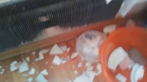 Разбитая посуда