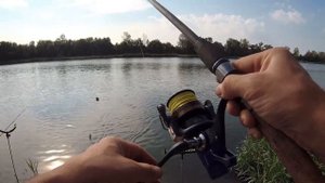 Ночуем на реке. Рыбалка в Воронежской области.