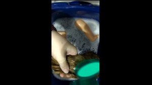 Backstage "Весеннего" преображения-2#shorts