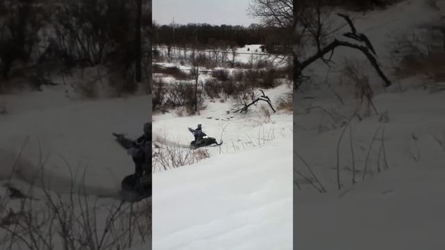 Arctic cat hitting a drift