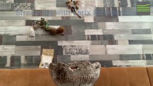 Прямая трансляция Бабушки Наталии