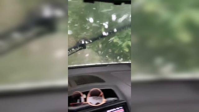 Ливень с крупным градом обрушился на Ростов-на-Дону. смотреть онлайн