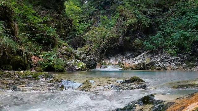 Creek in the woods - Ручей в лесу study sleep relax