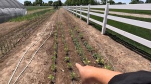 Planting the Pots at Our Church + Planting Sunflowers, Corn, Cosmos & Sweet Potatoes! 😁🙌🌿