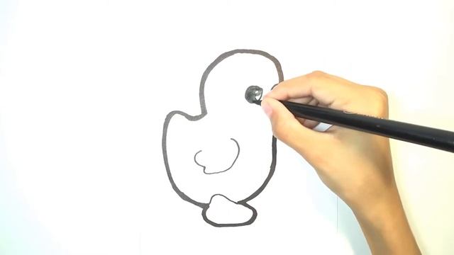 Рисуем цыпленка / draw chicken / coloring / Раскраска смотреть онлайн