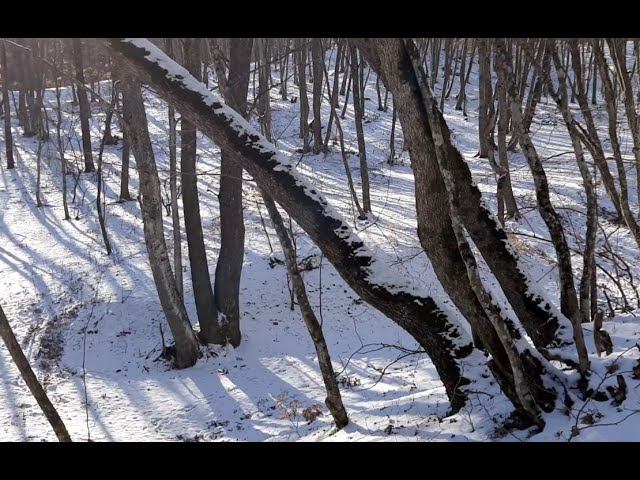 В поисках снега в Крыму