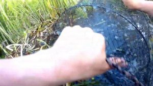 #7 Рыбалка на вершу!⚡ Лето 2022!?