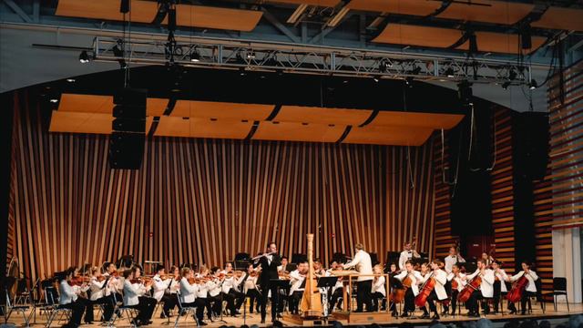 Mozart Concerto for Flute & Harp [mvt 1] - Ina McCormack, harp - Brendan Dooley, flute смотреть онлайн