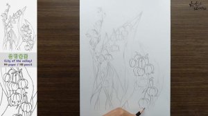 Lily of the valley drawing | 은방울꽃 스케치 | Botanical Art