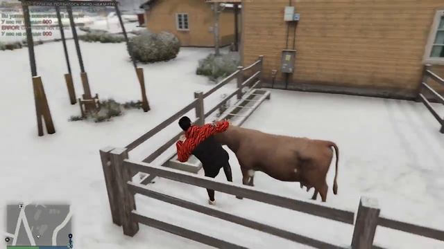 GTA 5 RolePlay | Новый бизнес смотреть онлайн