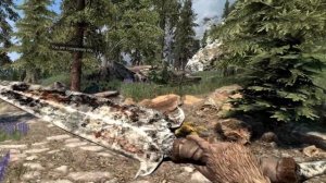 Skyrim VR is an entirely different game with this modlist | Librum