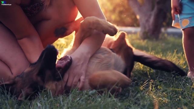 Spanish Guitar Flamenco Salsa Bossa Nova | Instrumental Latin Music, Latino Music Fiesta 2018 Hi-Fi смотреть онлайн