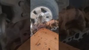 1KZ лопнул распредвал