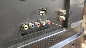 Сломался тюльпан?