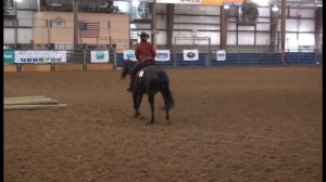 2015 Region 2 - Val Sr Ranch Riding Pattern 5