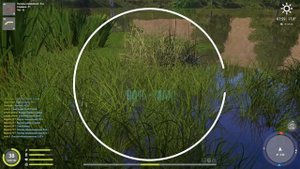 Рр4 | ОКУНЬ СОЛНЕЧНЫЙ | Северский донец