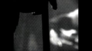 Александр Ситковецкий - Верблюды (1991)