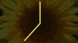 Число Фибоначчи в природе  Число Бога