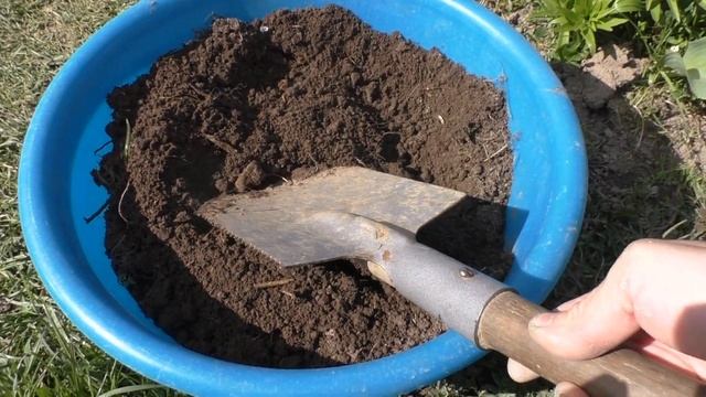 Куры чешутся что делать?  Сделайте такую ванну от пероеда блох и прочих паразитов