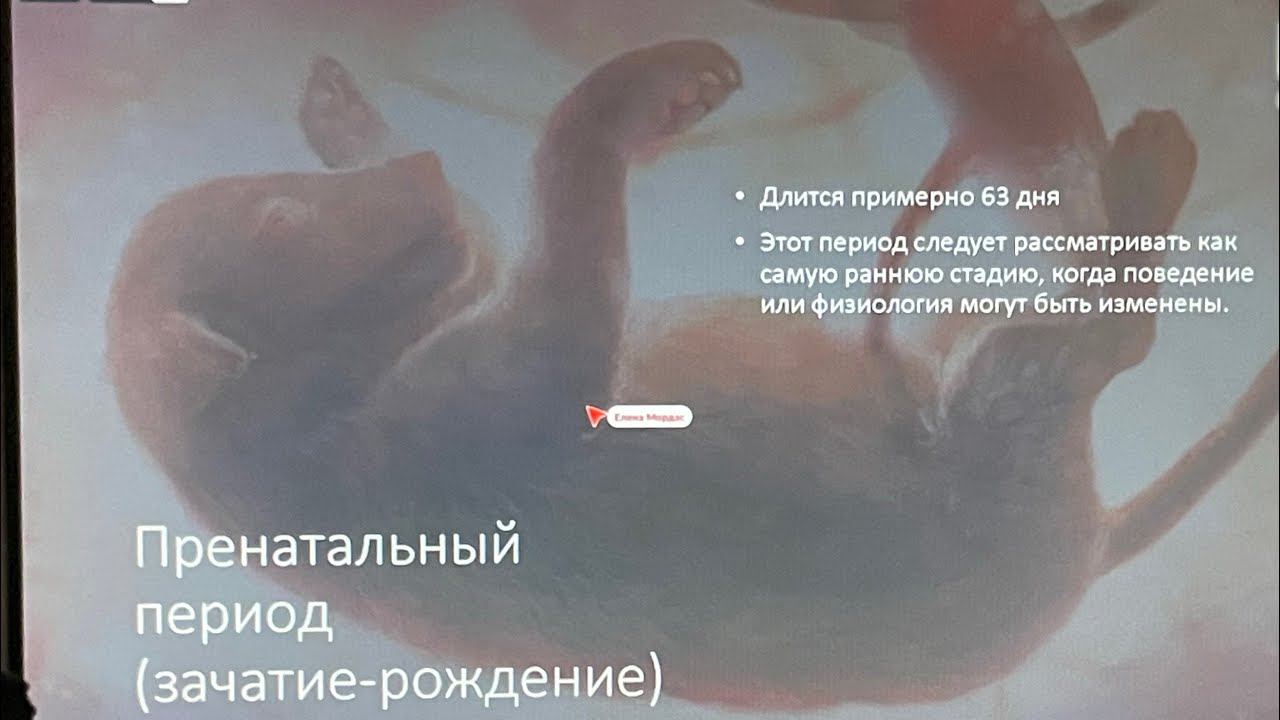 Откуда берутся проблемы?