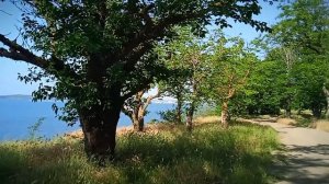 Керчь. район завода Войково. Парк, берег моря, пляж