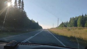 Дорога из Сабика в Саргу Шалинского района.