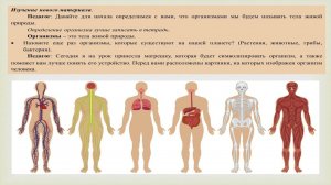 Разбор урока по биологии (5 класс) по теме "Организм-единое целое"