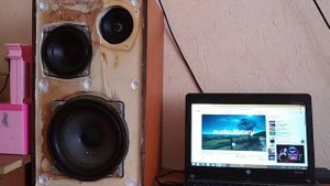 30гдс ВЧ и пассивный излучатель (Вега 25ас 109)