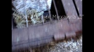 Клетка для самца нутрии размеры