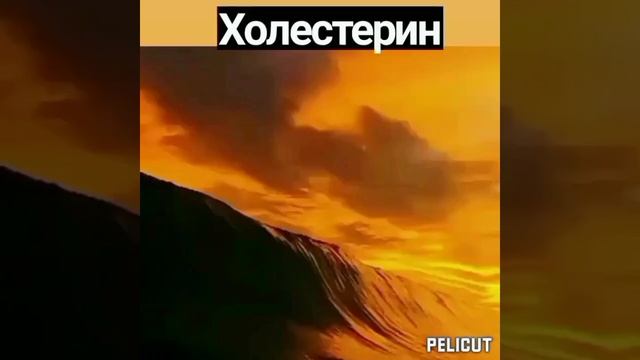 ?Матрица Гаряева от холестериновых бляшек в сосудах.