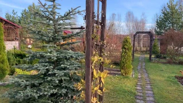 Ветрозащитные посадки. Наши первые ошибки смотреть онлайн