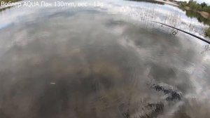 Воблер AQUA ПАН
