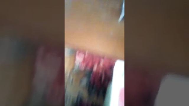 Школа животных. 1 часть. смотреть онлайн