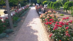 База отдыха Променад Кирилловка Федотова коса Часть 2 из 4