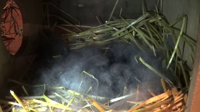 Окрол, крольчиха родила, новорожденные крольчата смотреть онлайн