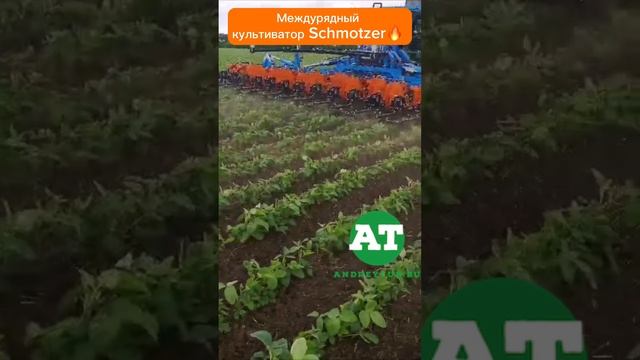 Междурядный культиватор Schmotzer? #tillage #amazone #schmotzer #deere