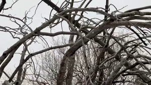 На пик Юный Геолог... Самый снежный поход..