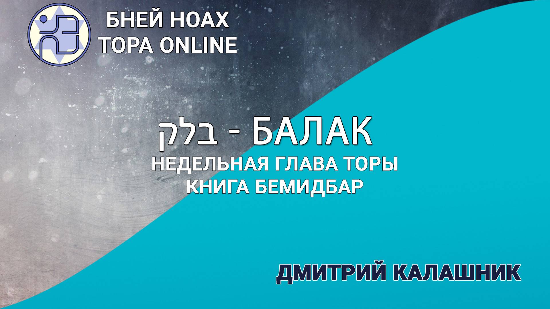 Недельная глава Торы - Парашат а-шавуа - "Балак" 5784/2024. Дмитрий Калашник