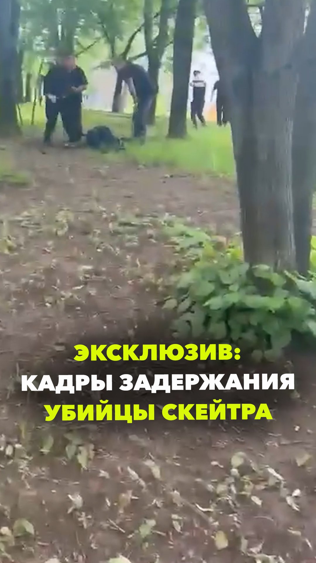 Эксклюзивное видео задержания убийцы скейтера