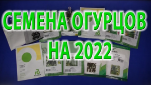 Огурцы на 2022 (Бьёрн Герман Директор Кибрия Кураж Ленара Лютояр Мамлюк Маша Меренга Прайм Эколь).