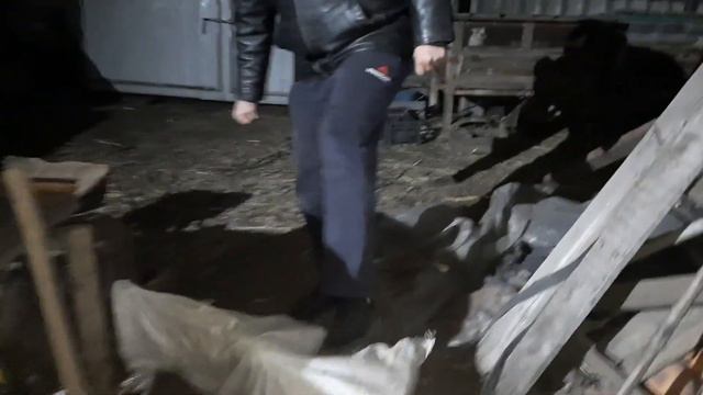 Сколько кроликов осталось? Первые морозы до -10 смотреть онлайн