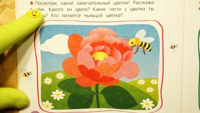 Развитие речи 4 года. Дошкольное развитие ребенка. Активное развитие речи.
