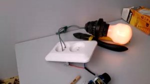 Простейший инкубатор для яиц. Лампочка и регулятор напряжения - диммер (220 вольт за 200р.)