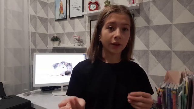 ЧТО НУЖНО ДЛЯ КРЫС🐀?! КАК ВОСПИТАТЬ КРЫСКУ?!!!