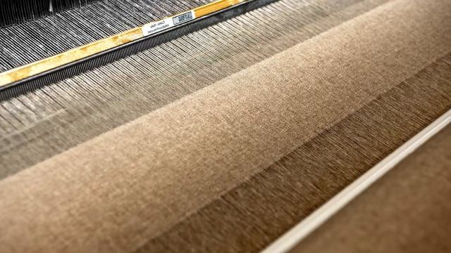 Loro Piana Savoir-Faire: Vicuna