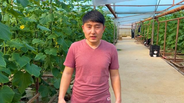 КАК ВЫБРАТЬ МЕСТО ДЛЯ ТЕПЛИЦЫ?! #агробизнес #теплица #агроном #тепличныйбизнес #бизнес